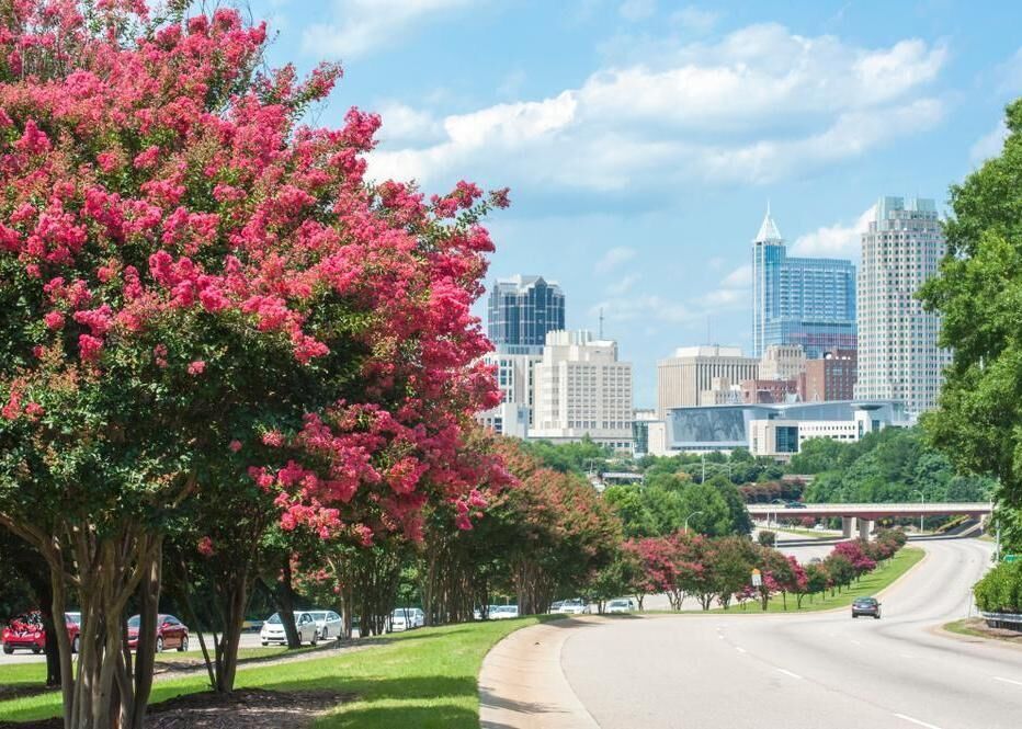 #21. North Carolina